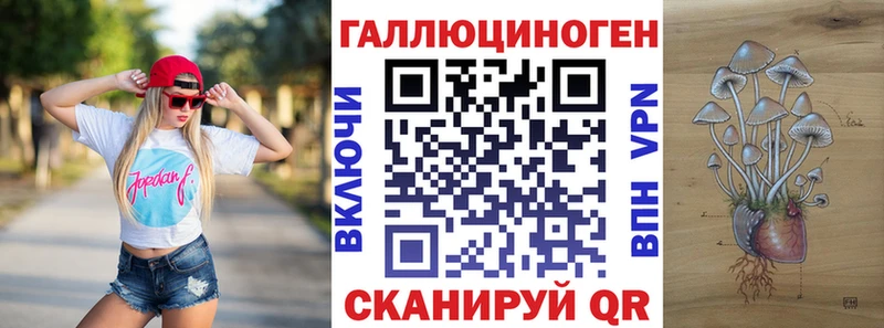 где купить наркоту  Лебедянь  Псилоцибиновые грибы Psilocybe 